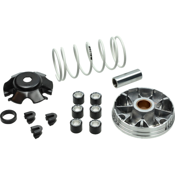 Malassi Multivar/Variokit snel euro-2/4/5 zip, sprint, primavera, sco piaggio 4t-3v I-get, sco piaggio 4t-2v, lx 4t-4v