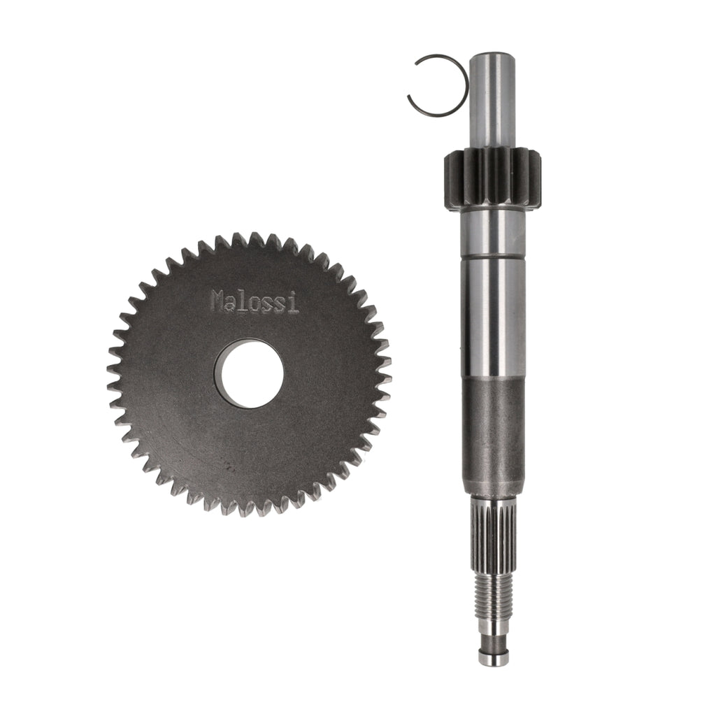 Vertanding Malossi Primair 14/48T — Gilera DNA, Vespa Primavera/Sprint 4T, Aprilia Scarabeo (Euro 3/4, 11/12 inch)