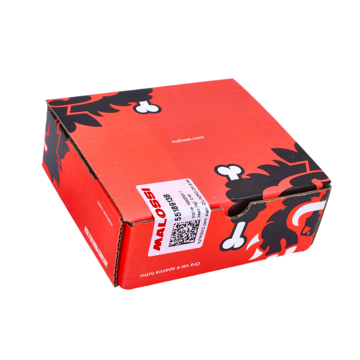 ECU unit malossi euro-5 snel ( voor originele Piaggio cilinder ) liberty, primavera 4t-3v, sprint 4t-3v, zip